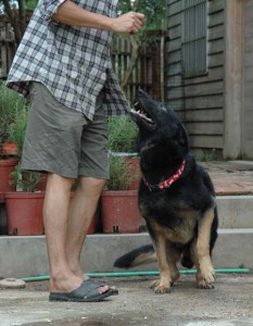 1380945690-3566455140