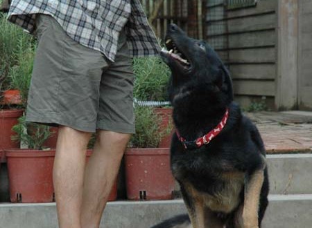 1380945690-3566455140