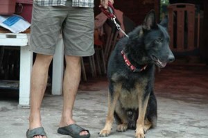 1380945691-136939603