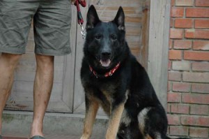 1380945691-1689227230