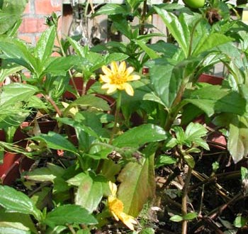 1380945695-3245863193