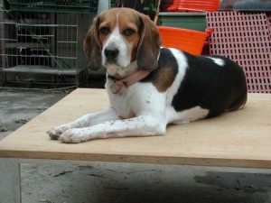 1380945697-3735864345