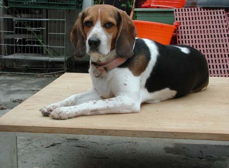 1380945697-3735864345