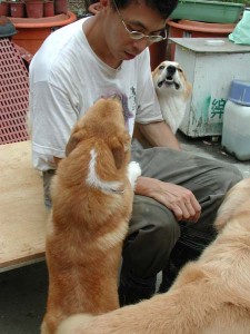 1380945699-1427694653