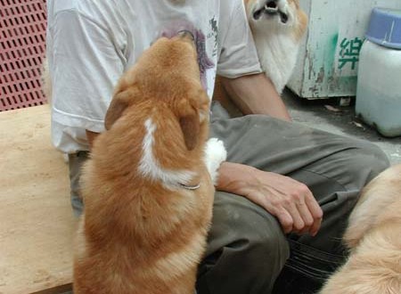 1380945699-1427694653