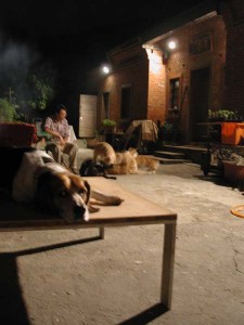 1380945699-3448309337