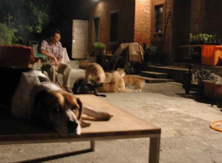 1380945699-3448309337