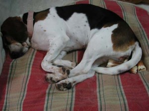 1380945700-106656995