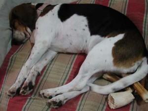 1380945701-2335571473