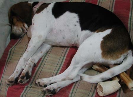 1380945701-2335571473