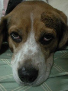 1380945702-289742409