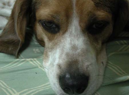 1380945702-3977609666