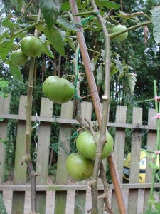 1380945710-2746489938