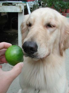 1380945710-763049054