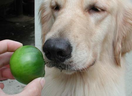 1380945710-763049054