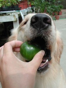 1380945710-863226244