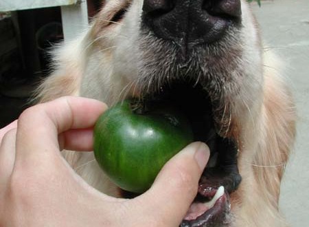 1380945710-863226244