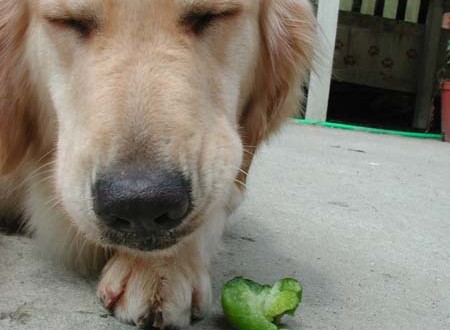 1380945711-2641866035