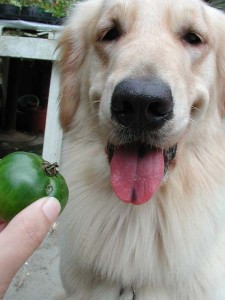 1380945711-4179638399