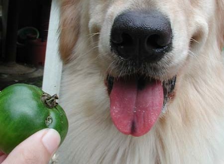 1380945711-4179638399