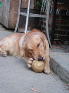 1380945723-2171845454