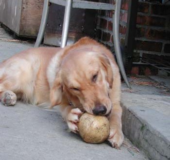 1380945723-2171845454