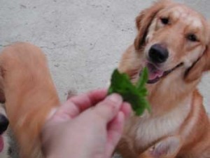 1380945723-2566260173