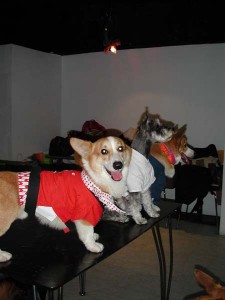 1380945725-3849231321