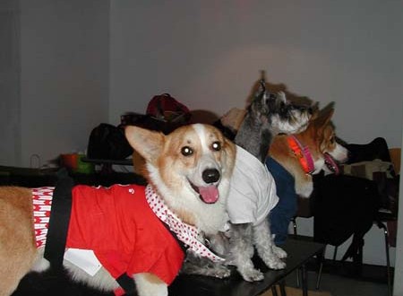 1380945725-3849231321