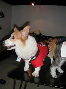 1380945726-4079200344