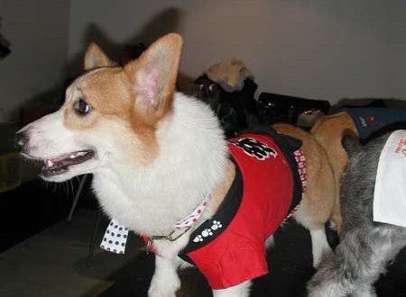 1380945726-4079200344