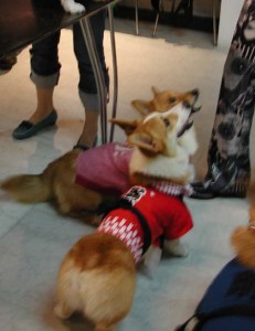 1380945727-3140408528