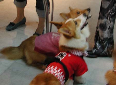 1380945727-3140408528