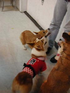 1380945727-644301150