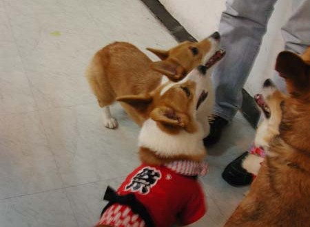 1380945727-644301150