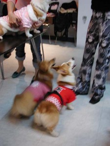 1380945728-399264490