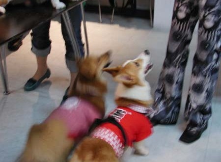 1380945728-399264490