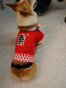 1380945728-959842762