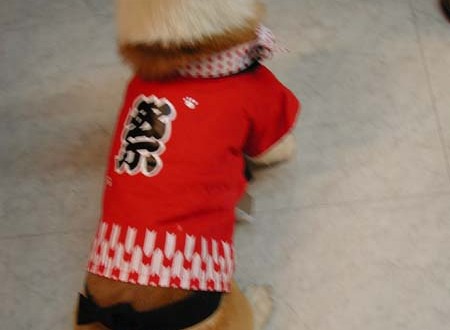 1380945728-959842762