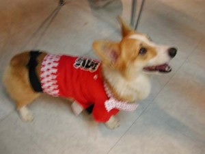 1380945729-3760949758