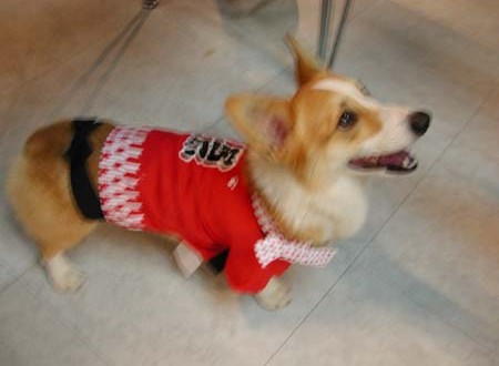 1380945729-3760949758