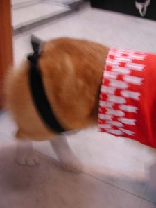 1380945729-402435894