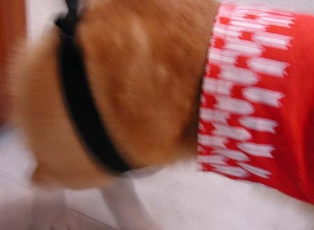 1380945729-402435894