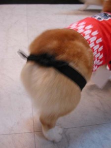 1380945730-1839991348