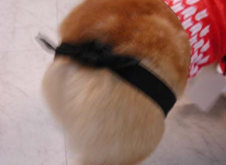 1380945730-1839991348