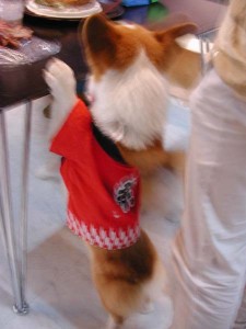 1380945730-2125191560