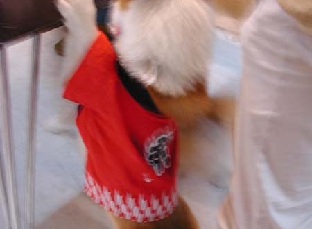 1380945730-2125191560