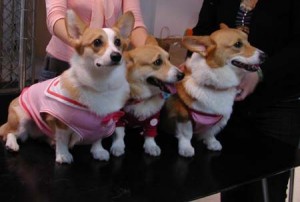 1380945732-3111609611