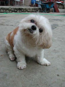 1380945735-1796610165