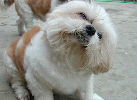 1380945735-3015481949